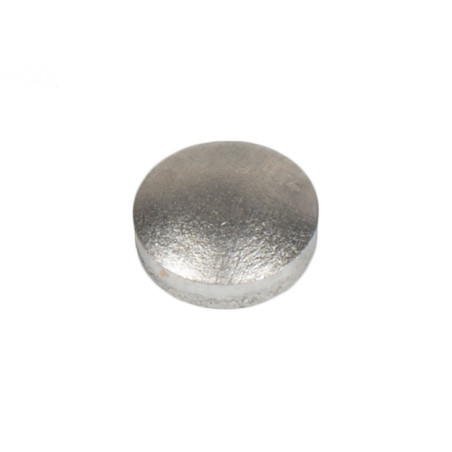 Rotary 8124 - Bouchon welch - 8124