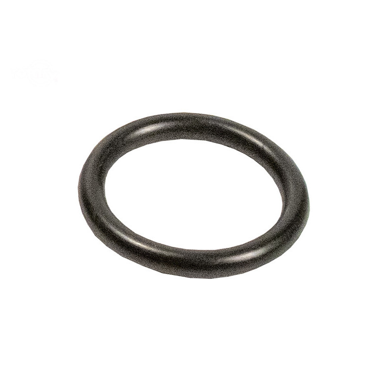 Rotary 161 - O-Ring - 161