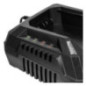Texas Battery Charger Standard Charger