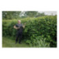 Texas PHX2000 (20V) Telescopic Hedge Trimmer with battery+charger