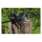 Texas HTZ5800 (58 V) - Solo Hedge Trimmer