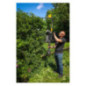 Texas PHZ5800 (58 V) Telescopic Hedge Trimmer - Solo