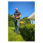 Texas PHZ5800 (58 V) Telescopic Hedge Trimmer - Solo