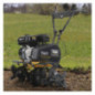 Motobineuse / Cultivateur Texas TX611TG double arbre