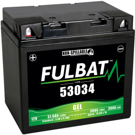 Batterie GEL 53034 12V 31.6Ah
