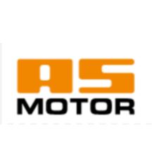 jeu de brosse par 10 pour as30/as50 - G07380012 - As-Motor