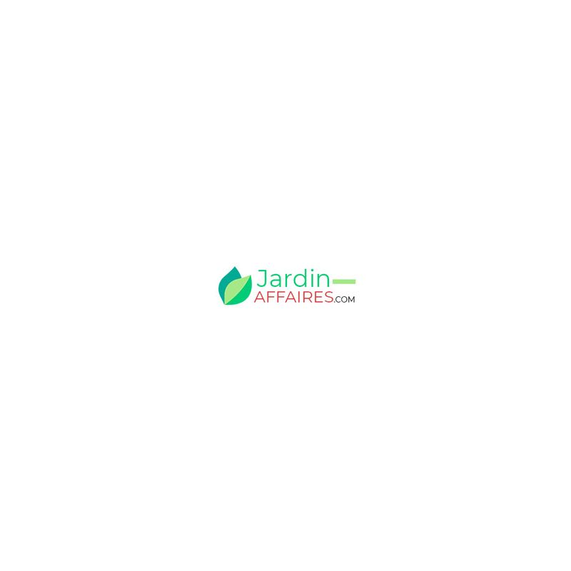REGULATED SPRING 261105 PAR 10