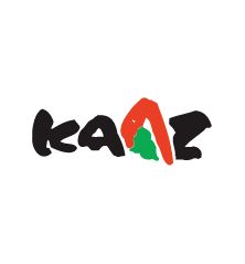 vis - H071D05X050 - Kaaz
