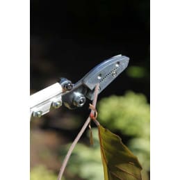 Sécateur long manche cueille fleurs ARS - ARS - Sécateur - Jardin Affaires