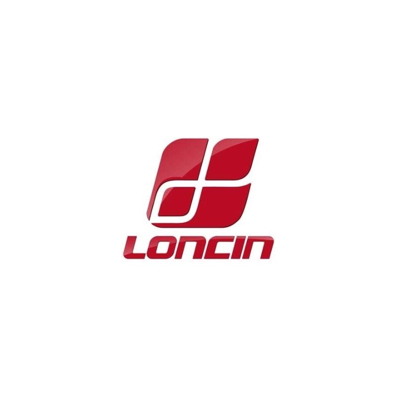 filtre a air complet - 1800208710001 - Loncin