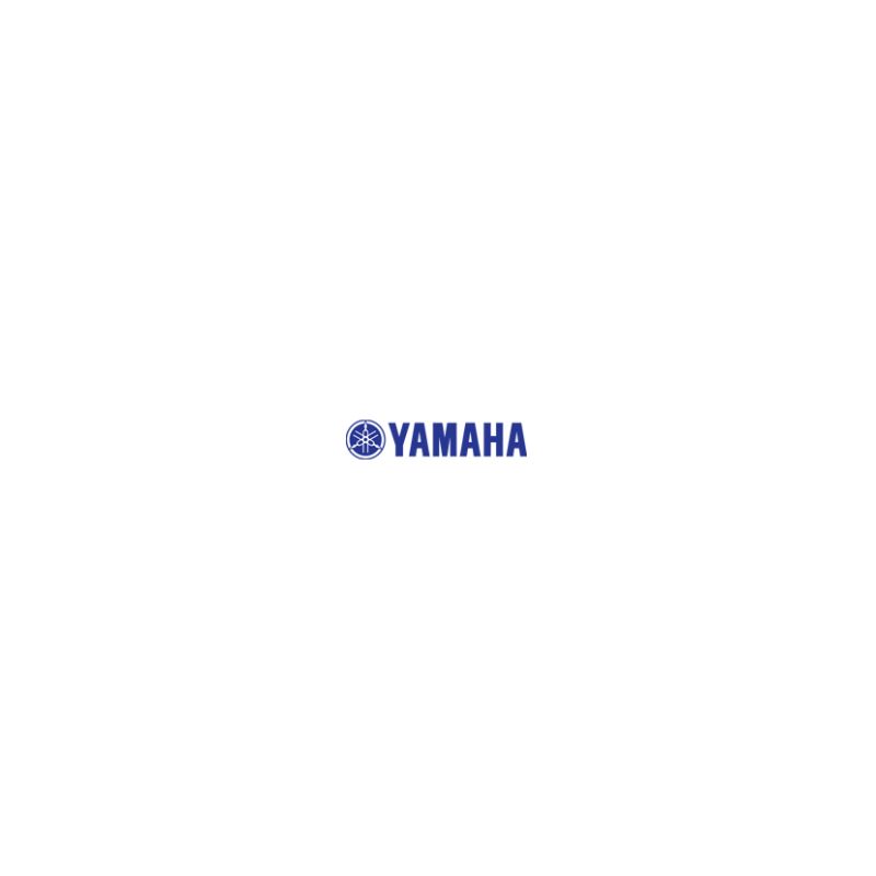 filtre a huile - 5DM1344000 - Yamaha