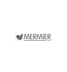 roue d150 pour axe d10 avec bandage - 290097 - Mermier