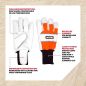 Gants de travail OREGON - Solid - Taille XL - 295333