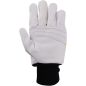 Gants de protection anti-coupure - OREGON - Taille XL - 295399