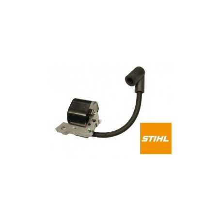 IGNITION MODULE