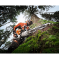 Tronçonneuse MS 500i - 11472000024 STIHL Guide: 55 cm Pas: 3/8"