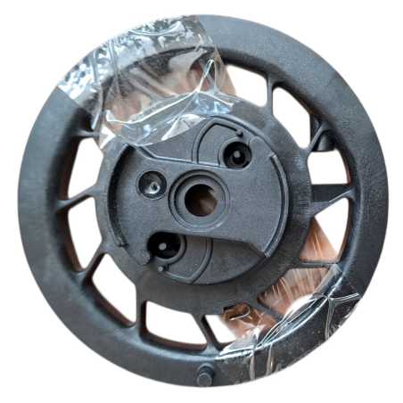 STARTER SPRING