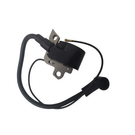 module d'allumage - 00004001300 - Stihl