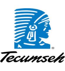 lanceur complet - 590732A - Tecumseh