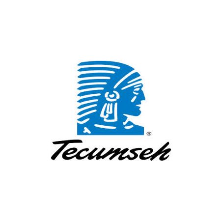 lanceur complet - 590732A - Tecumseh