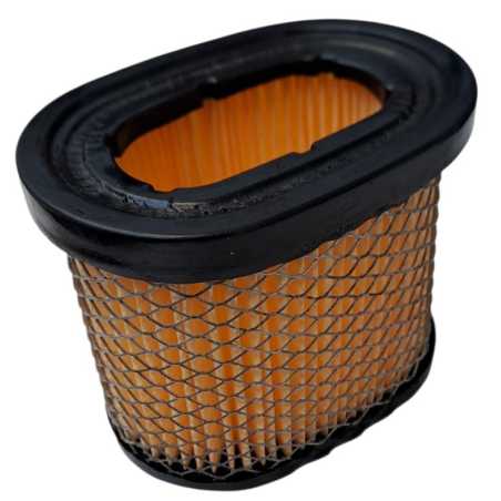Aangepaste luchtfilter Briggs en Stratton 697029