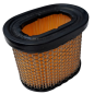 Aangepaste luchtfilter Briggs en Stratton 697029
