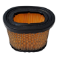 Filtro de aire adaptable Briggs y Stratton 697029