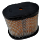 Filtro de aire adaptable Briggs y Stratton 697029
