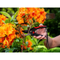 Sécateur à lame franche R10 20 cm – MTF – 18 mm – 1ZST4173 Sécateur à lame franche R10 20 cm – MTF – 18 mm – 1ZST4173