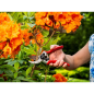 Sécateur à lame franche R60 21,5 cm – MTF – 18 mm – 1ZST4177