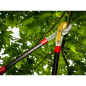 Coupe-branches À enclume Télescopique P80-T 68-93 cm – MTF – 40 mm – 1ZST4180 Coupe-branches À enclume Télescopique P80-T 68-93 cm – MTF – 40 mm – 1ZST4180