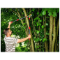 Coupe-branches À enclume Télescopique P80-T 68-93 cm – MTF – 40 mm – 1ZST4180 Coupe-branches À enclume Télescopique P80-T 68-93 cm – MTF – 40 mm – 1ZST4180