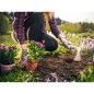 Set d'outils de jardin à main Cappuccino 3 outils – MTF – Transplantoir/cultivateur/bineuse – 1ZST3256