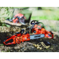 Motosierra térmica con empuñadura trasera 30 cm 1,54 CV – ECHO – motor monocilíndrico de 25 cm³ – CS-2511WES30 Motosierra térmica con empuñadura trasera 30 cm 1,54 CV – ECHO – motor monocilíndrico de 25 cm³ – CS-2511WES30