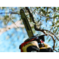 Motosierra de poda 30 cm 1,46 CV – ECHO – 26,9 cm³ 2 tiempos – CS-280TES/30 Motosierra de poda 30 cm 1,46 CV – ECHO – 26,9 cm³ 2 tiempos – CS-280TES/30