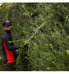 ECHO X-Series pole hedge trimmer 54 cm cut