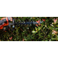 Cortasetos térmico de doble cuchilla 534 mm 0,8 CV – ECHO – 3600 cortes/min – HC-2020R