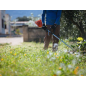 Petrol brushcutter with loop handle 1.0 HP – ECHO – High Torque – SRM-237TES/L Petrol brushcutter with loop handle 1.0 HP – ECHO – High Torque – SRM-237TES/L