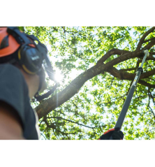 Élagueuse sur perche ECHO vue vers le haut de la coupe d'une branche