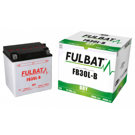 BATTERIE FB30L-B ACIDE SEPARE (FOURNI) 12V 31.6 Ah 165-130-176 - / + - FULBAT - Batterie et pile - Jardin Affaires 