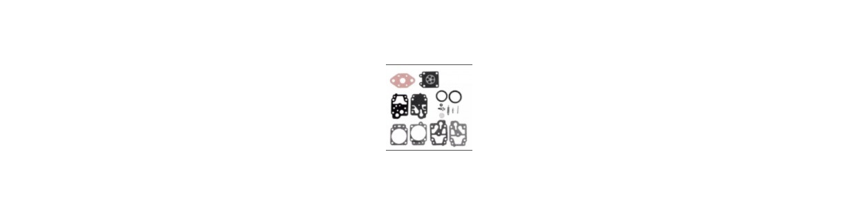 Ontdek ons ruime assortiment carburateursets