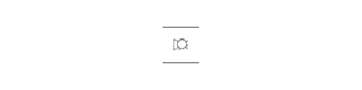 Discover our selection of cylinder head gaskets!
