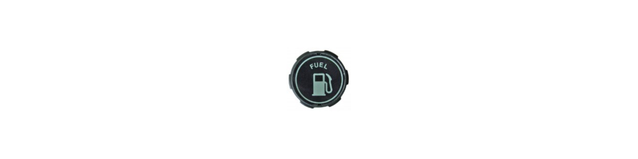 Fuel and oil cap